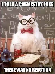 Chem Cat